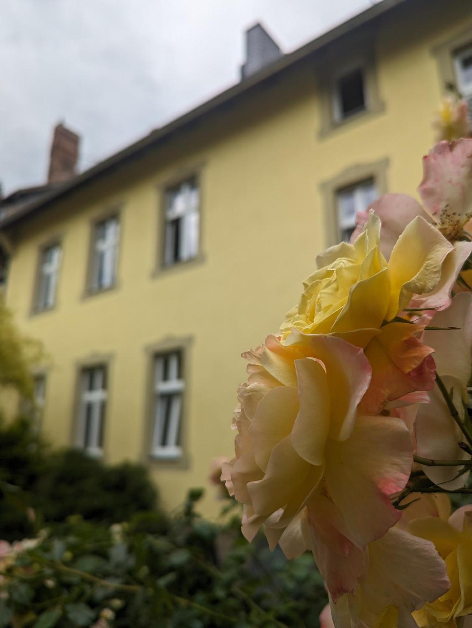 Atelier Wolkenschloss Wernigerode Eksteriør billede